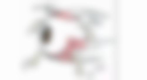 三、王新梅医生擅长项目介绍