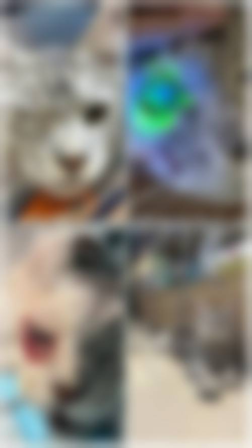 服务流程与就诊体验